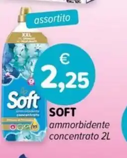 Il Tulipano SOFT Cool ammorbidente concentrato offerta