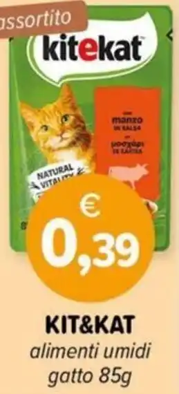 Il Tulipano KIT&KAT alimenti umidi gatto offerta