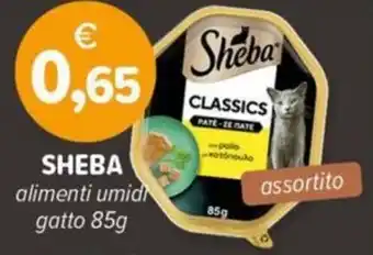 Il Tulipano SHEBA alimenti umid gatto offerta