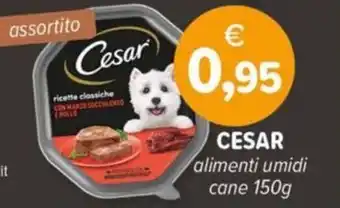 Il Tulipano CESAR alimenti umidi cane offerta