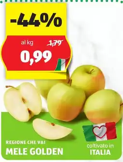 ALDI Regione che vai mele golden offerta