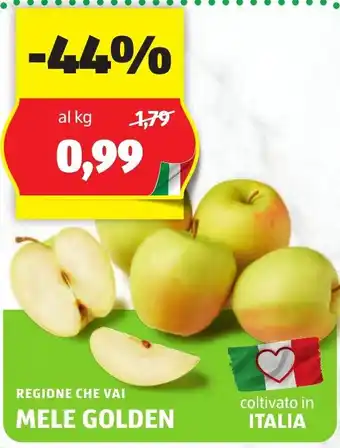 ALDI Regione che vai mele golden offerta