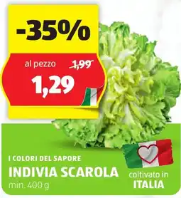 ALDI I colori del sapore indivia scarola offerta