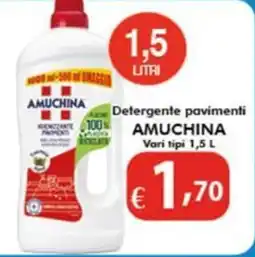 Bernava Detergente pavimenti AMUCHINA offerta