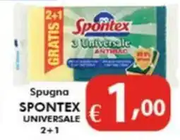 Bernava Spugna SPONTEX UNIVERSALE offerta