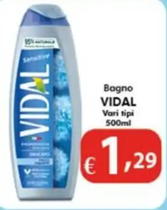 Bernava Bagno VIDAL Vari tipi offerta