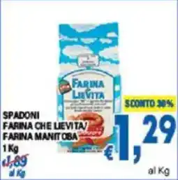 DEM Spadoni farina che lievita farina manitoba offerta