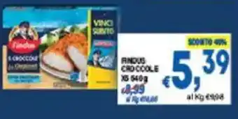 DEM Findus crocoole offerta