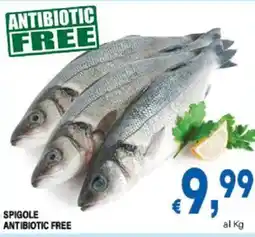 DEM Spigole antibiotic free offerta