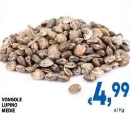 DEM Vongole lupino medie offerta