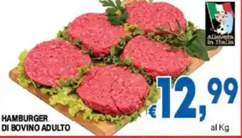 DEM Hamburger di bovino adulto offerta