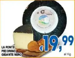 DEM La fonte pecorino gigante nero offerta