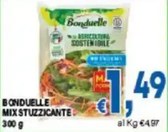 DEM Bonduelle mix stuzzicante offerta