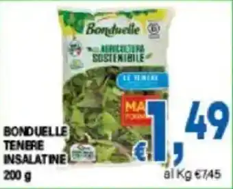 DEM Bonduelle tenere insalatine offerta