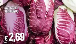 IperFamila Radicchio semilungo offerta