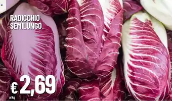 IperFamila Radicchio semilungo offerta