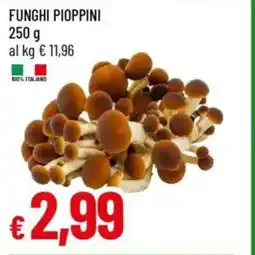 IperFamila Funghi pioppini offerta