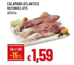 IperFamila Calamaro atlantico decongelato offerta