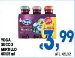 DEM Yoga succo mirtillo offerta