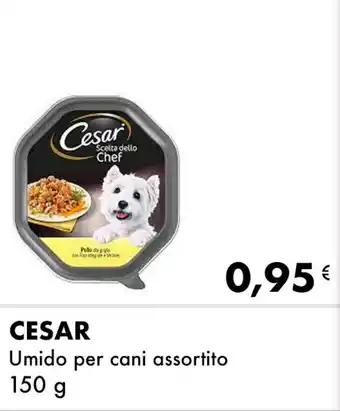 Iper Tosano CESAR Umido per cani assortito offerta