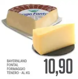 Supermercati Piccolo Bayernland fontal formaggio tenero offerta