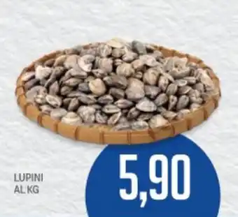 Supermercati Piccolo Lupini offerta