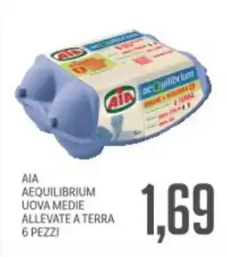 Supermercati Piccolo Aia aequilibrium uova medie allevate a terra offerta