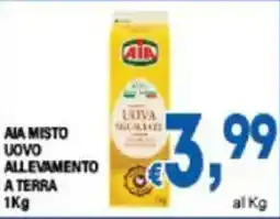 DEM Aia misto uovo allevamento a terra offerta