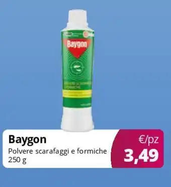 Acqua & Sapone Baygon Polvere scarafaggi e formiche offerta