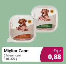 Acqua & Sapone Miglior Cane Cibo per cani Pate offerta