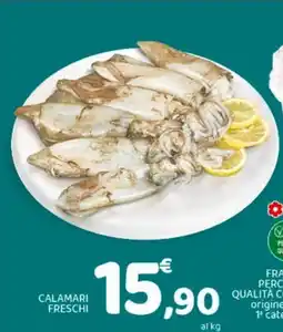 Conad Calamari freschi offerta