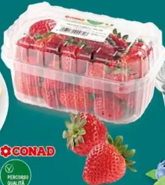 Conad Fragole percorso qualità conad origine italia 1º categoria offerta