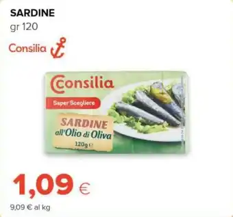 Tigre Consilia sardine offerta