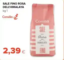 Tigre Consilia sale fino rosa dell'himalaya offerta