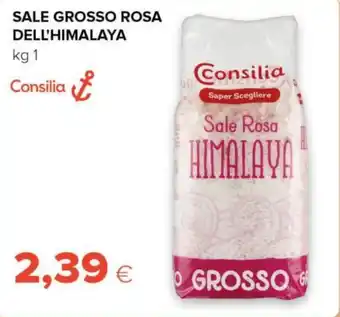 Tigre Consilia sale grosso rosa dell'himalaya offerta