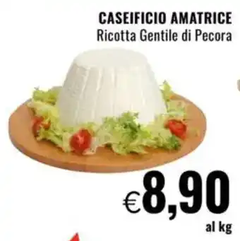 Famila CASEIFICIO AMATRICE Ricotta Gentile di Pecora offerta