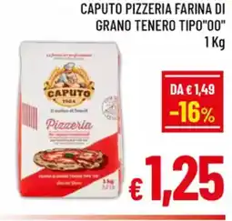 A&O Caputo pizzeria farina di grano tenero tipo"00" offerta