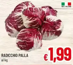 A&O Radicchio palla offerta