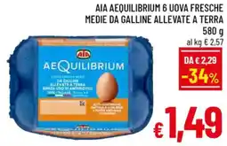 A&O Aia aequilibrium 6 uova fresche medie da galline allevate a terra offerta