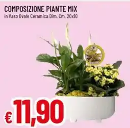 IperFamila Composizione piante mix in vaso ovale ceramica dim. offerta