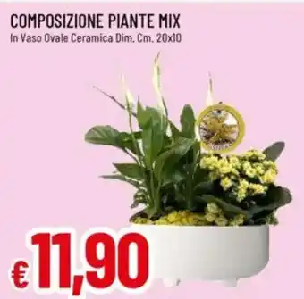 IperFamila Composizione piante mix in vaso ovale ceramica dim. offerta