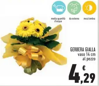 Conad Gerbera gialla offerta