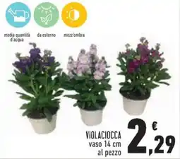 Conad Violaciocca offerta