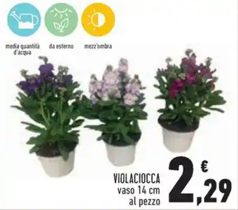 Conad Violaciocca offerta