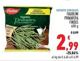 Conad Fagiolini primavera FINDUS offerta