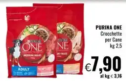 Famila PURINA ONE Crocchette per Cane offerta