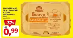 DPiù 6 uova fresche da allevamento a terra pastagialla offerta