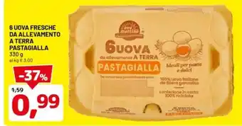 DPiù 6 uova fresche da allevamento a terra pastagialla offerta