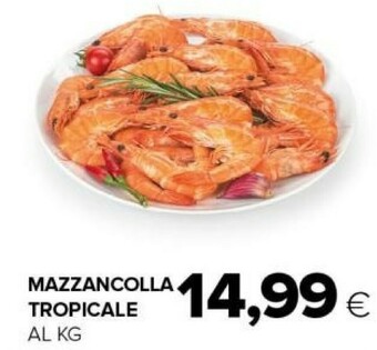 Tigre Mazzancolla tropicale offerta