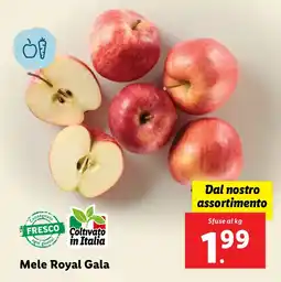 Lidl Mele Royal Gala offerta